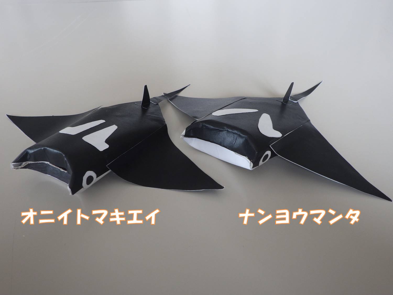 お家でマンタを作ろう!見本画像