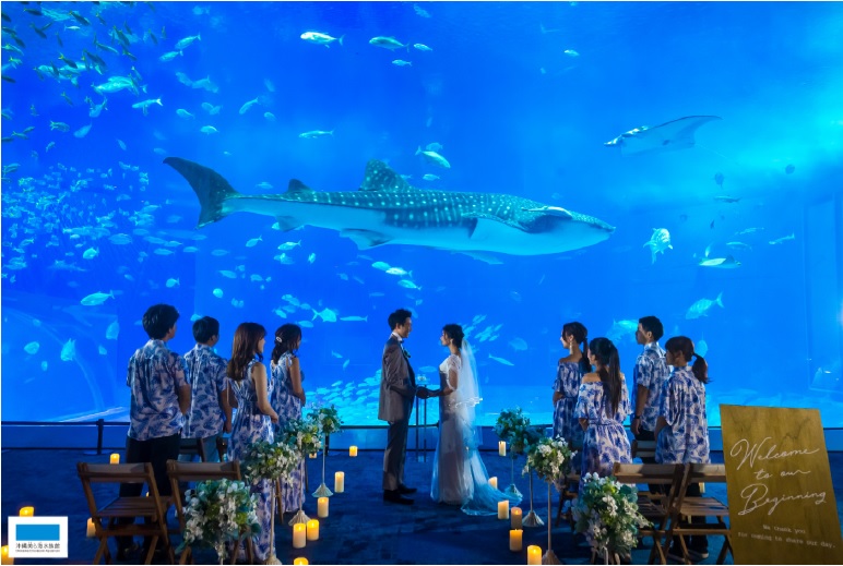 12月11日より予約受付　海洋博公園・沖縄美ら海水族館でリゾートウエディング開始！の画像
