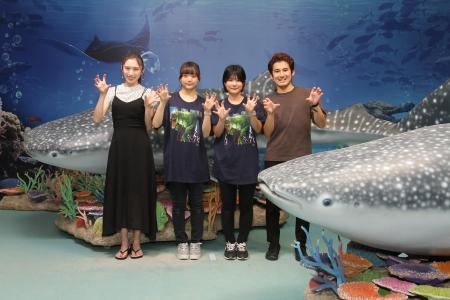 美ら海フォト 美ら海フォト
