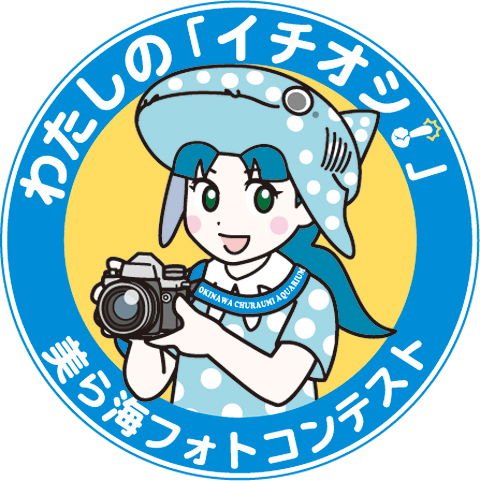 美ら海フォトコンテスト入賞者発表と入賞入選作品展開催のお知らせの画像
