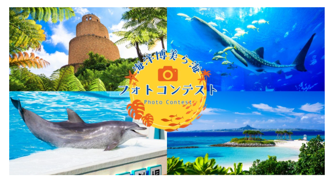 海洋博美ら海フォトコンテスト「夏の海洋博公園でのきらめく思い出」の画像