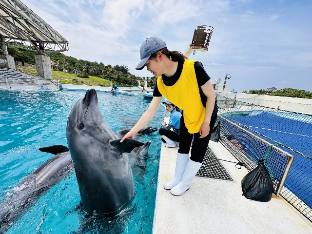 日曜日限定♪「プレミアムイルカ飼育体験」開催！の画像