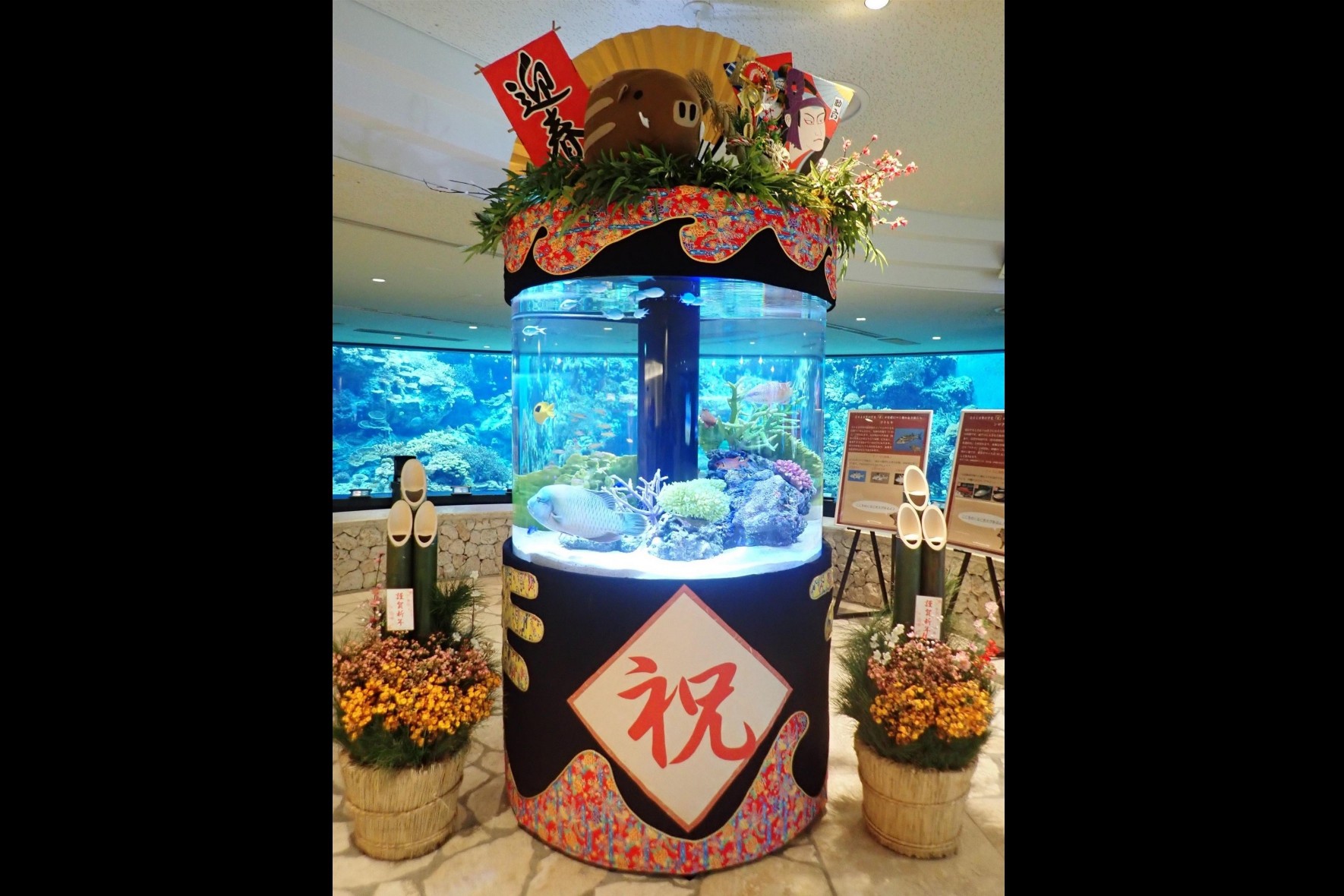 冬季限定～お正月水槽～の画像