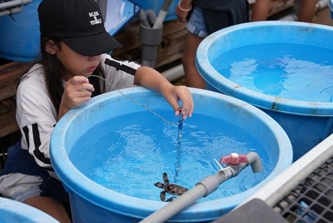 2/25（水）「ウミガメから学ぶ環境学習」合同学習発表会を開催しますの画像