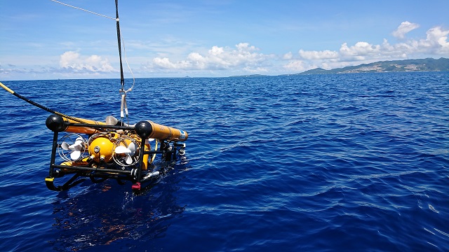 ROV