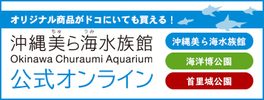 カラーミー
