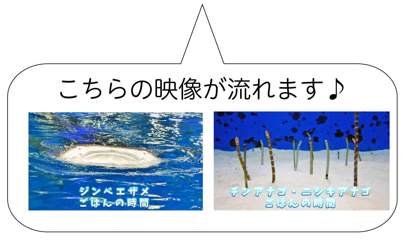 映像貸出
